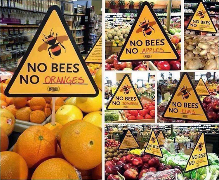No bees...