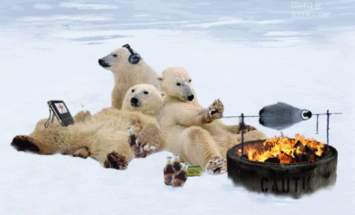 Teddy-land: Polar bears chillin