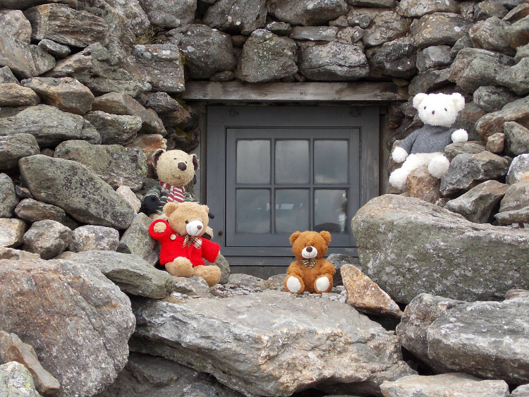 Teddy Land: Ted and friends from Rhode Island