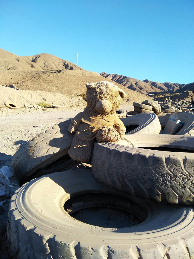 Teddy Land: Atacama desert