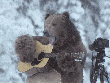 Teddy land: Bear playing the guitar