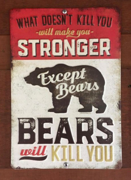 Teddy Land: What doesn't kill you will make you stronger. Except bears, bears will kill you.