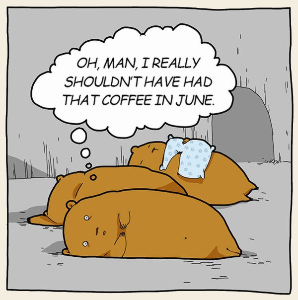 Teddy Land: Coffee in June