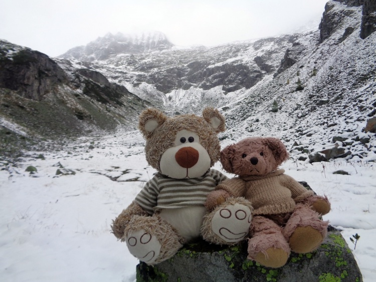 Teddy Land: Our first snow bivouac