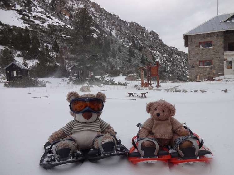 Teddy Land: Snowshoeing in Malyoviotsa