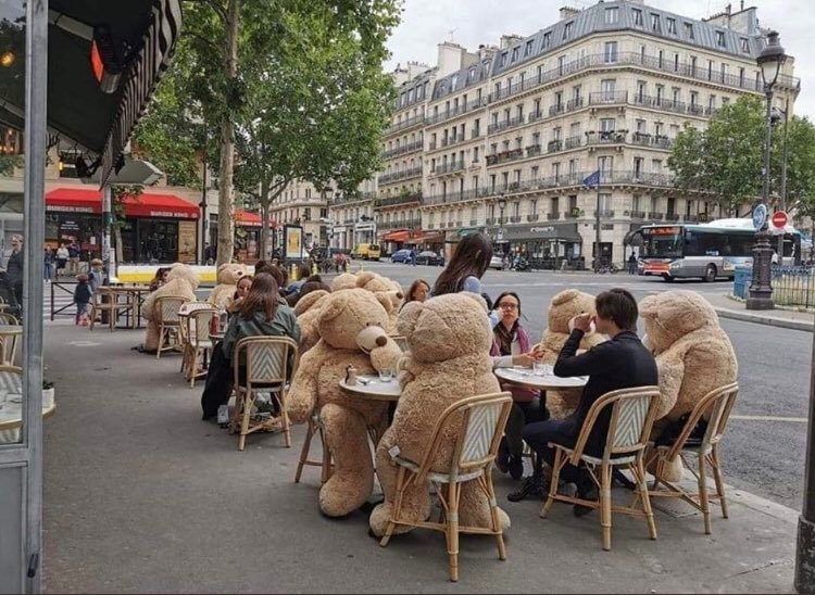 Teddy Land: Paris cafe