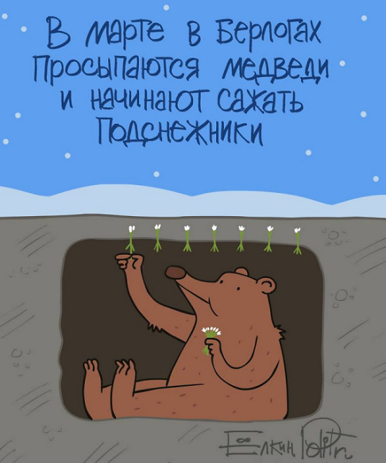 Teddy Land: Sergey Elkin - Bears in March