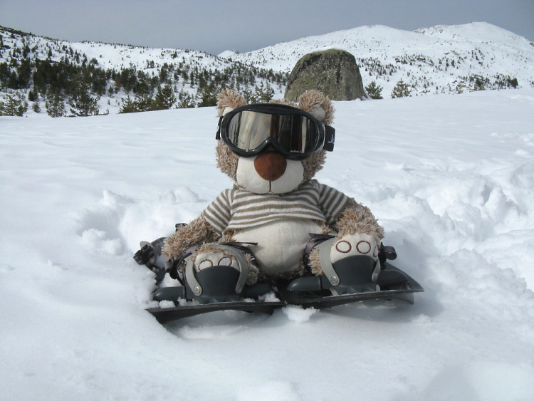 Teddy Land: Snowshoeing in Pirin, Bulgaria