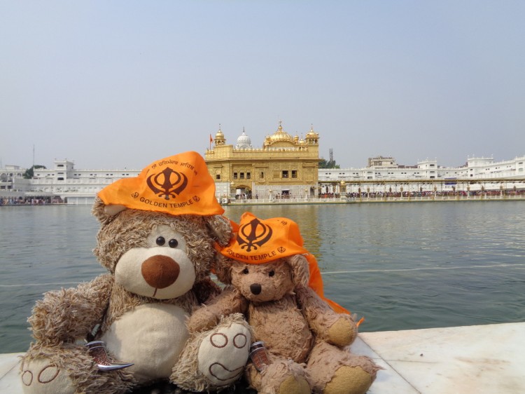 Teddy Land: Amritsar, Golden Temple