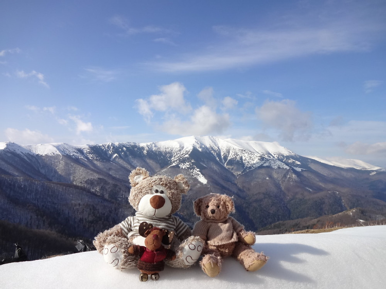 Teddy Land: Eho hut, Balkan Mountains