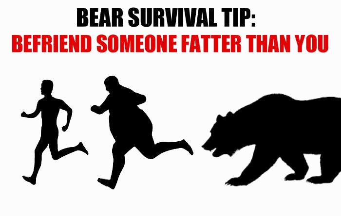 Teddy Land: Bear attack tips