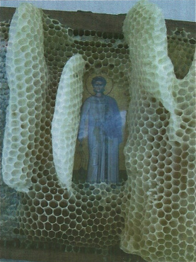 Teddy Land: Bees and Holy Icons of Saints