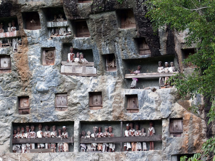Teddy Land: Cliff graves at Lemo, Sulawesi