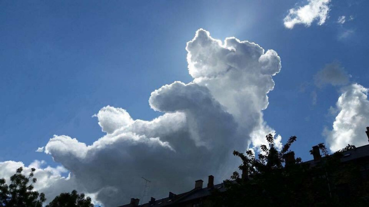 Teddy Land: Cloud Bear