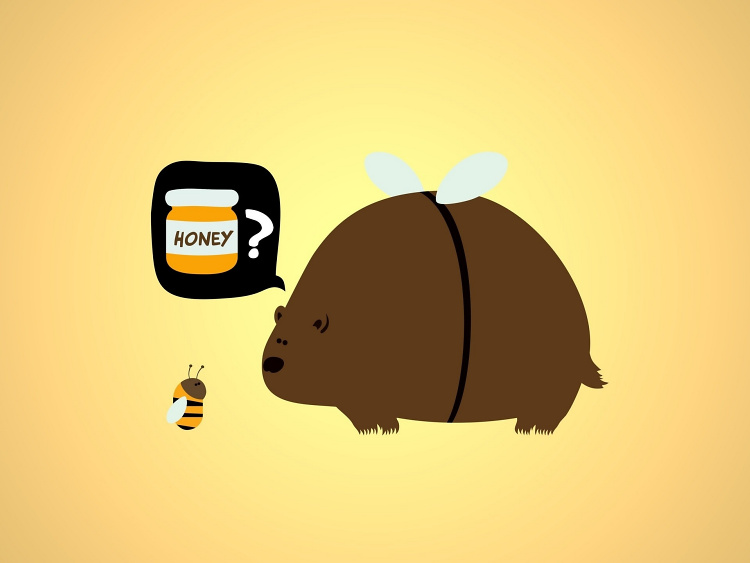 Teddy Land: Honey bee bear