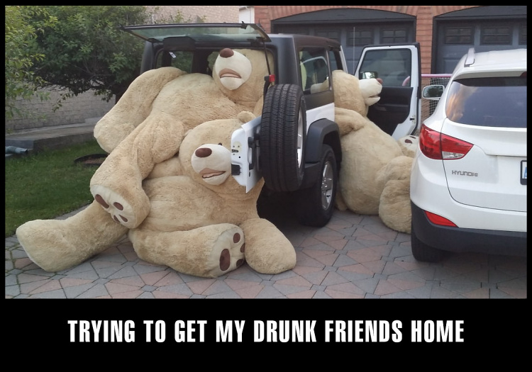 Teddy Land: Trying to get my drunk friends home