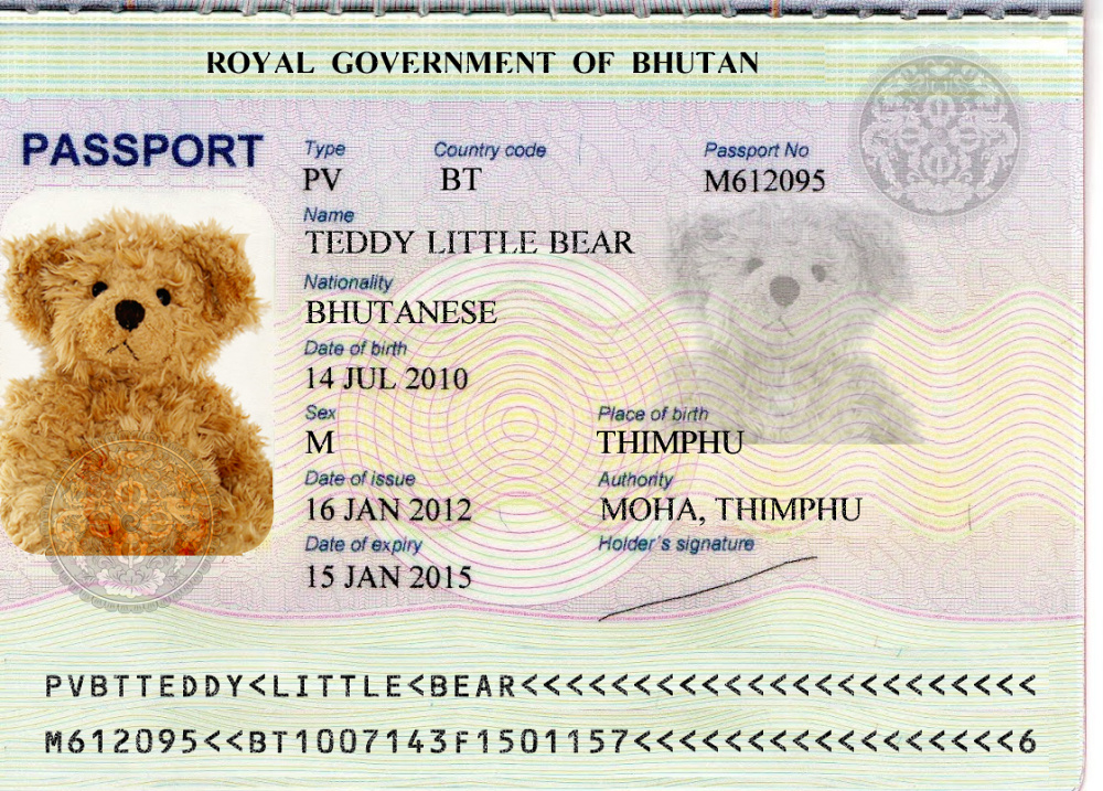 travel teddy bear with passport