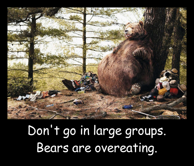 Teddy Land: Don't go in large groups. Bears are overeating.