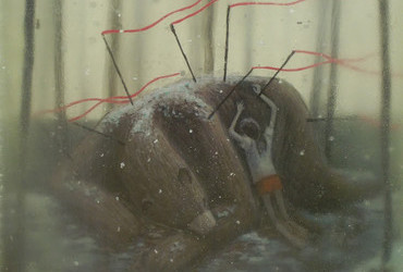 Ben Strawn - Death of the Brown Bear at the onset of winter II (detail)
