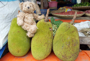 ♥ Jackfruit - market in Kotamobagu