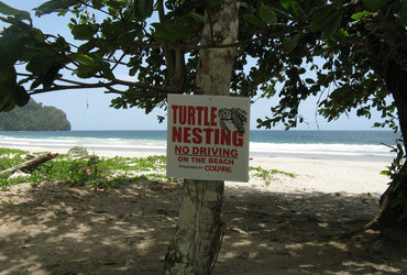 Las Cuevas Bay, Trinidad - Leatherback Turtle nesting warning sign