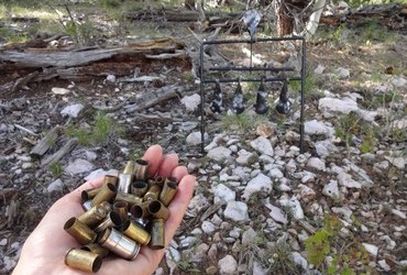 Targets and shell cases in the forest