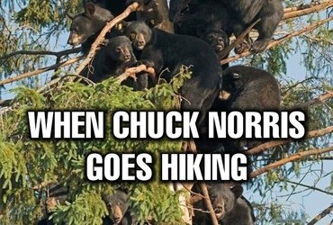 When Chuck Norris goes hiking