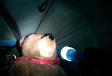 Timothy Treadwell's Spanky - this is a screen shot from the movie Grizzly Man