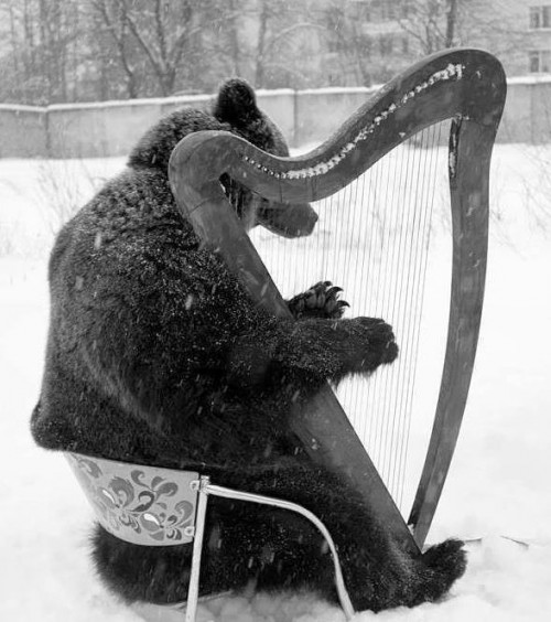 Teddy Land: Bear playing the harp