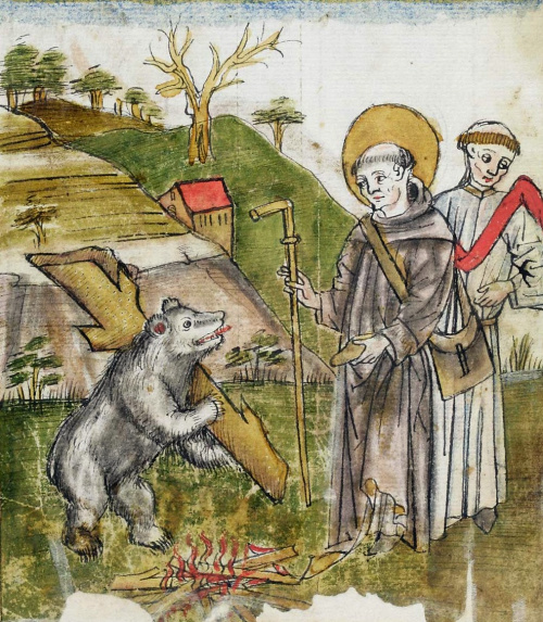 Teddy Land: St. Gall and the Bear
