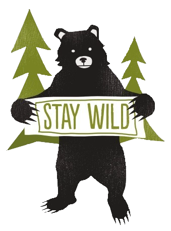 Teddy Land: Stay wild
