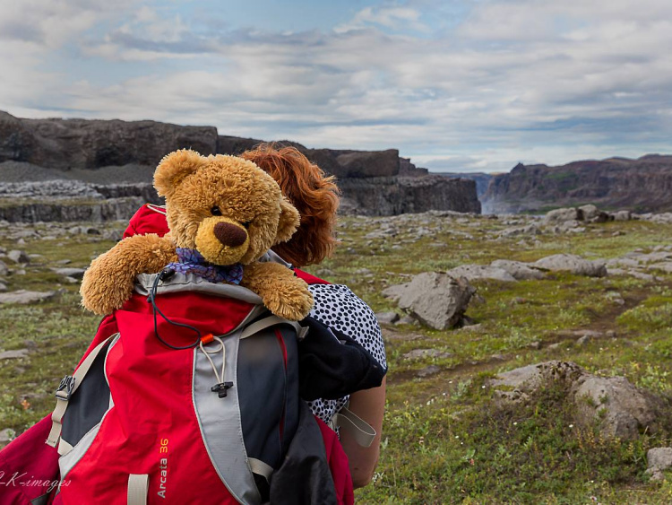 Teddy Land: Christian Kneidinger and his wife Ranati travel with their Teddy in the backpack