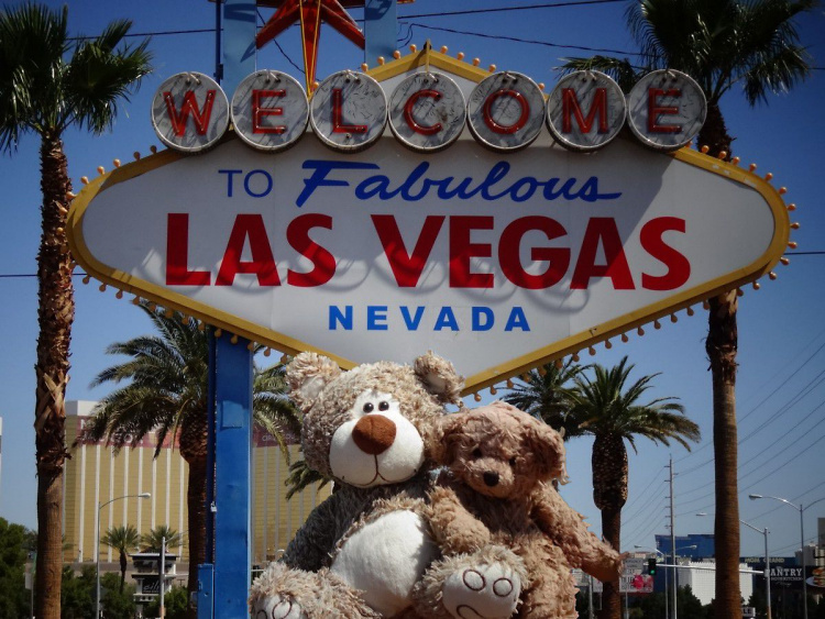 Teddy Land: Welcome to Fabulous Las Vegas, Nevada!