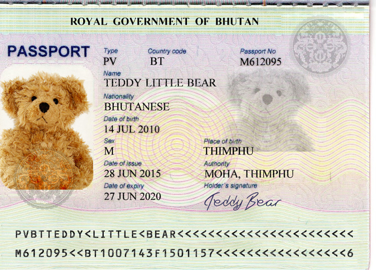 Teddy Land: It's my Birthday