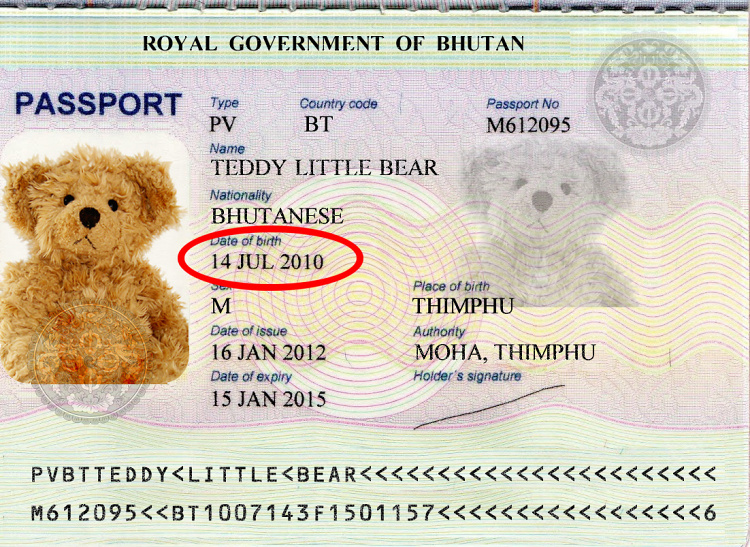Teddy Little Bear passport