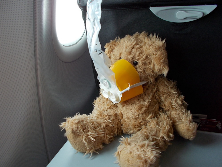 Teddy Land: flying AirAsia