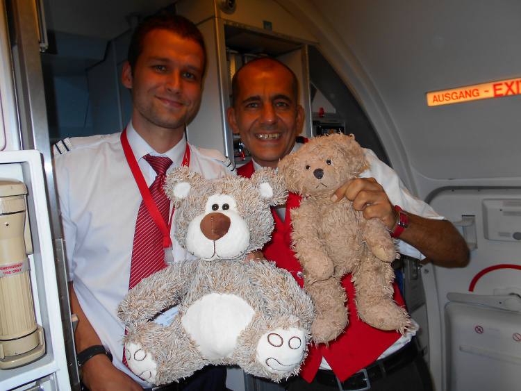 Teddy Land: Flying Austrian