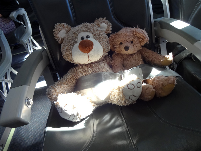 Teddy Land: Time to fasten the seat belts