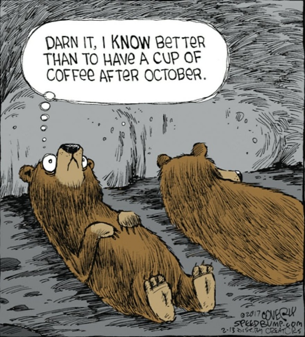 Teddy Land: Coffee after October
