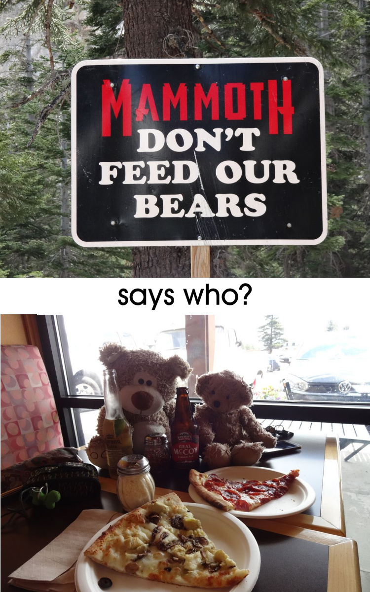 Teddy Land: Don't Feed Our Bears