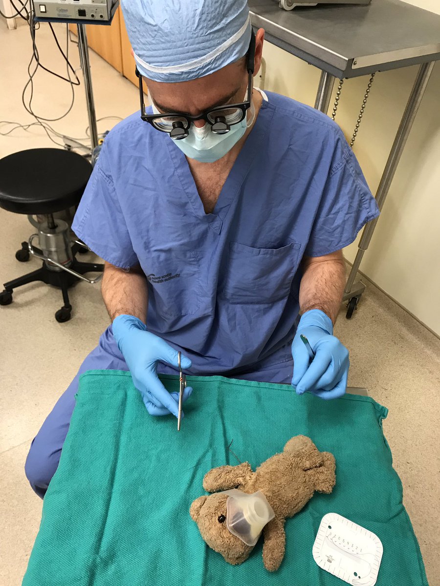 Teddy Land: Dr McNeely operating on a Teddy Bear