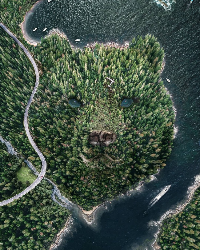 Teddy Land: Bear Creek by Fabien Barrau