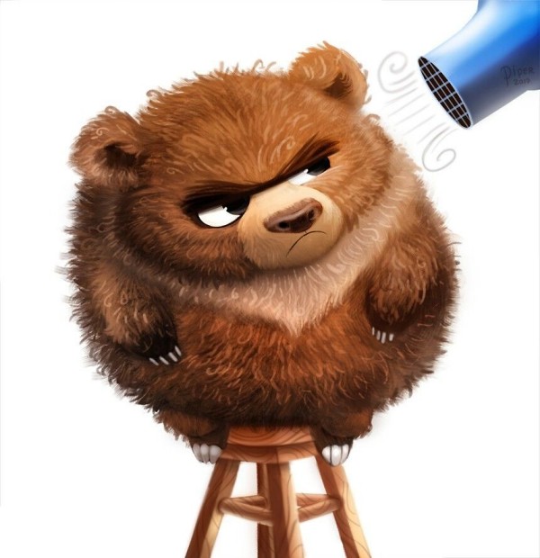 Teddy Land: Frizzly Bear by Piper Thibodeau