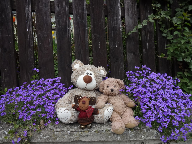 Teddy Land: Spring is here!