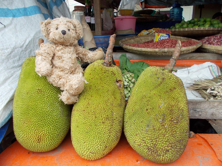 Teddy Land: Fruit market in Kotamobagu