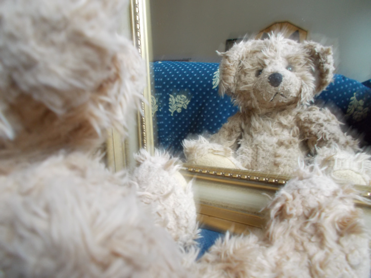 Teddy Land: Mirror, mirror on the wall, who Is the fairest of them all?
