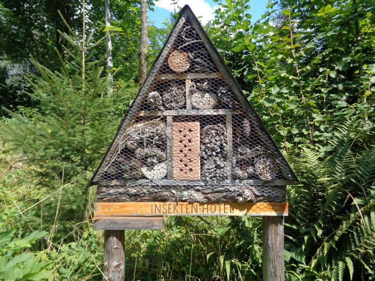 Teddy land: Insect hotel