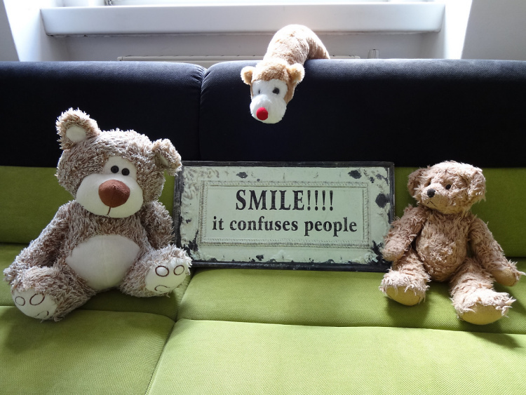 Teddy Land: Smile - It confuses people