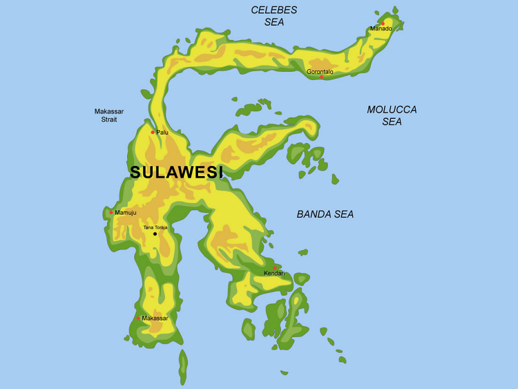 Teddy Land: Sulawesi map