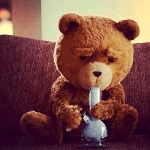 Teddy Land: Ted with bong